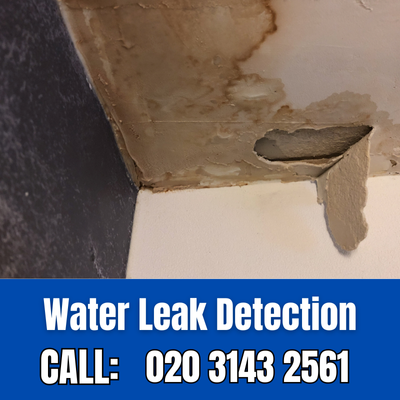 Expert Water Leak Detection Services in Brompton | Brompton Leak Detection